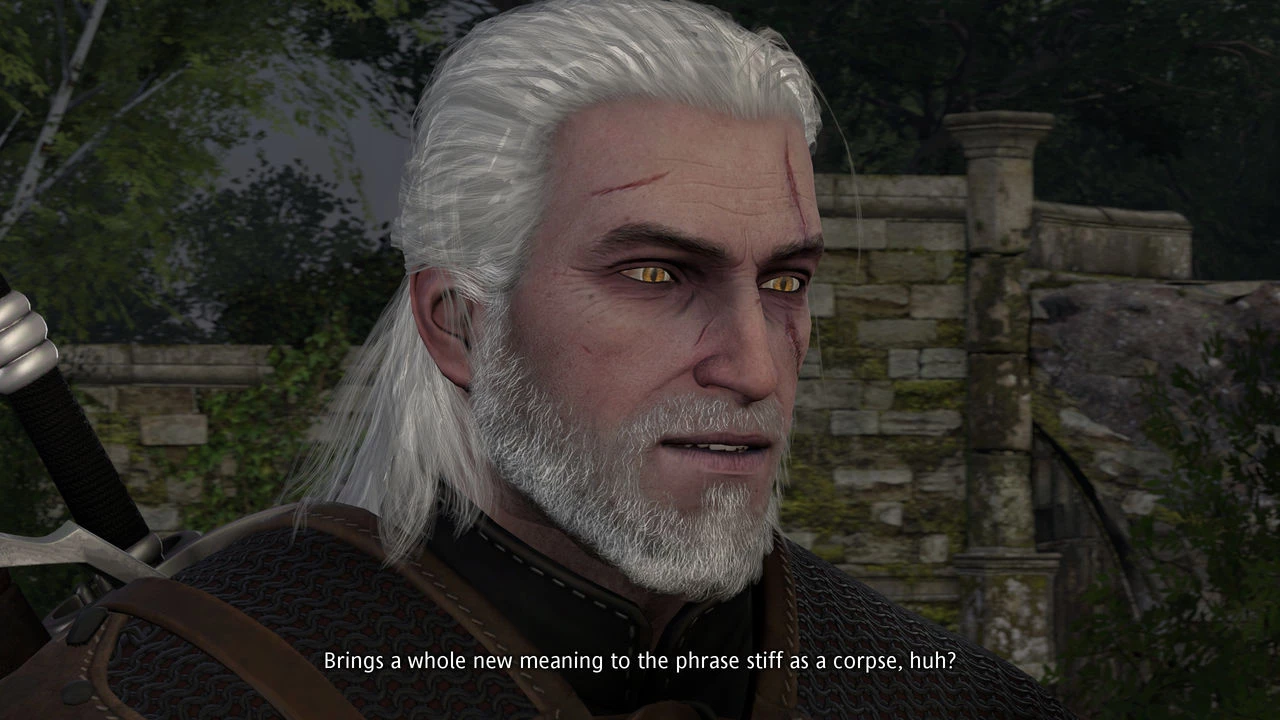 Witcher stories part 2 porn comic picture 17