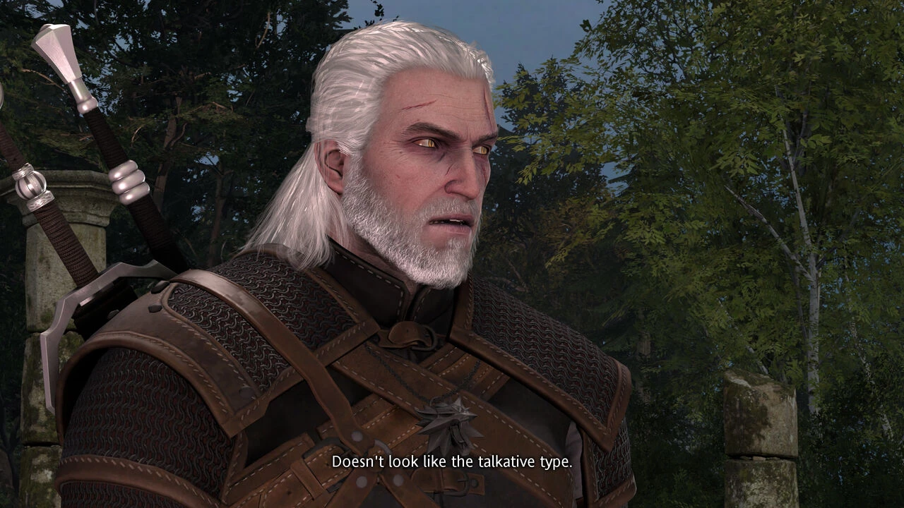 Witcher stories part 2 porn comic picture 2