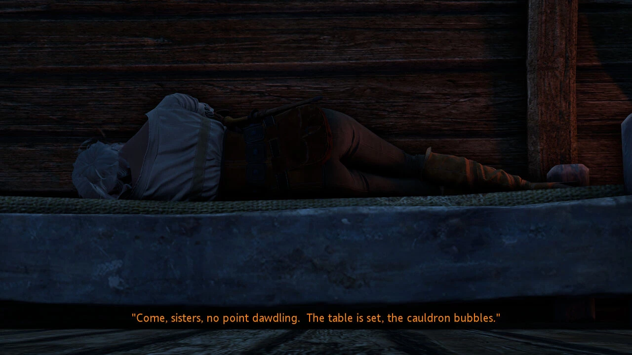 Witcher stories part 2 porn comic picture 23