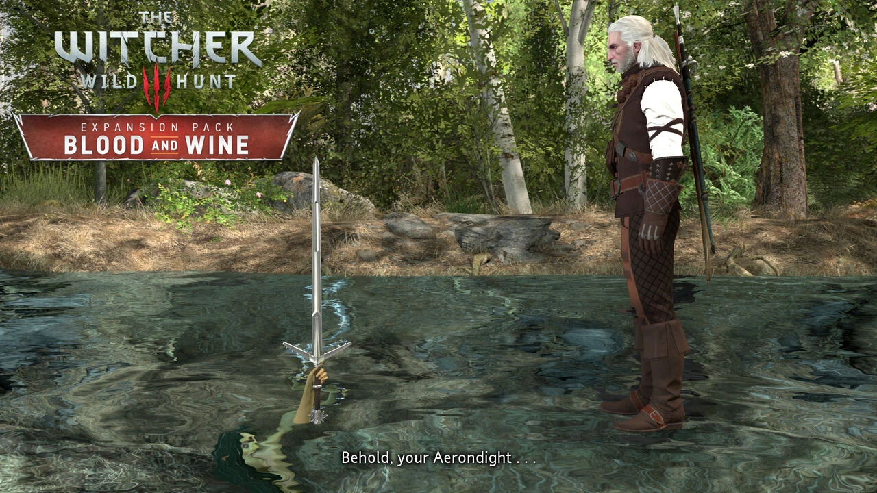 Witcher stories part 2 porn comic picture 53