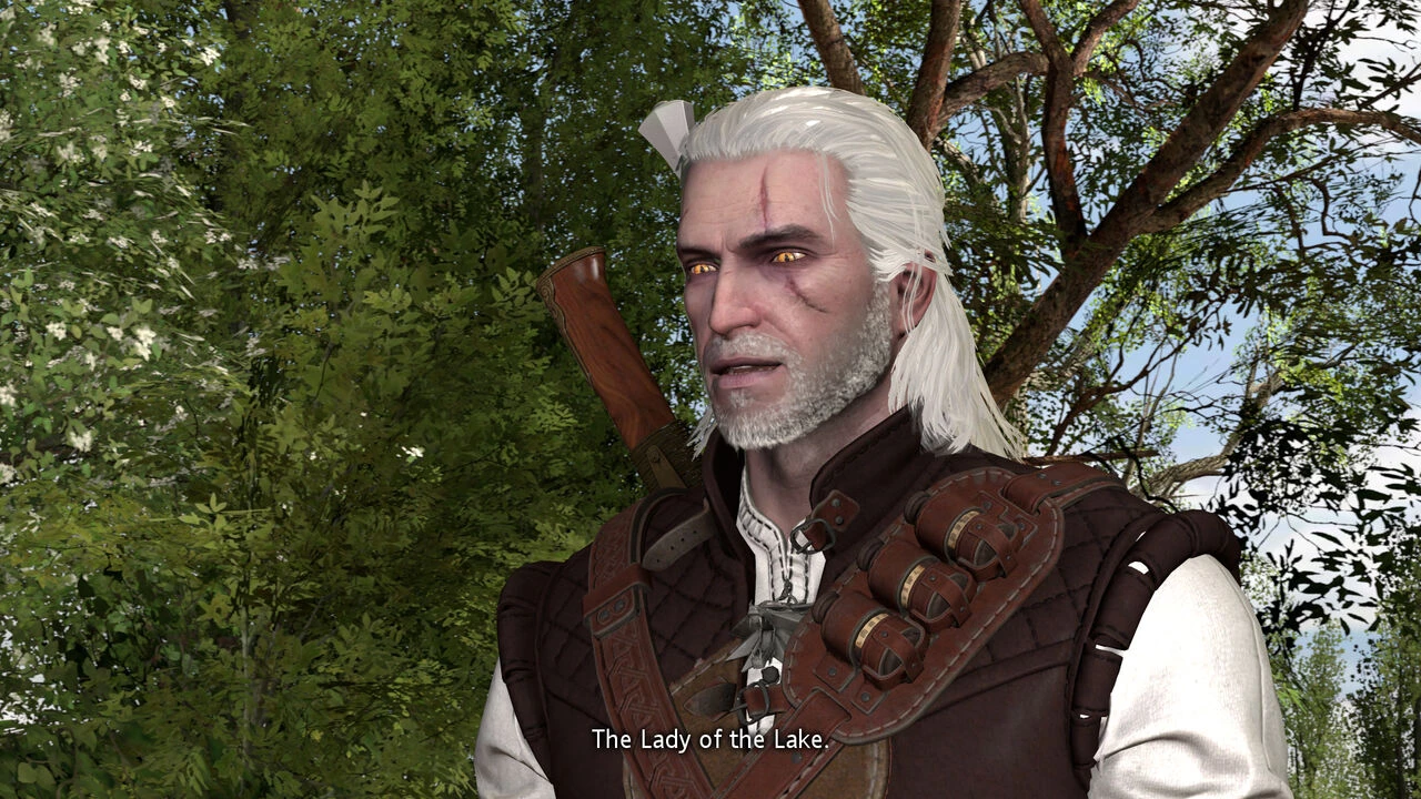 Witcher stories part 2 porn comic picture 54