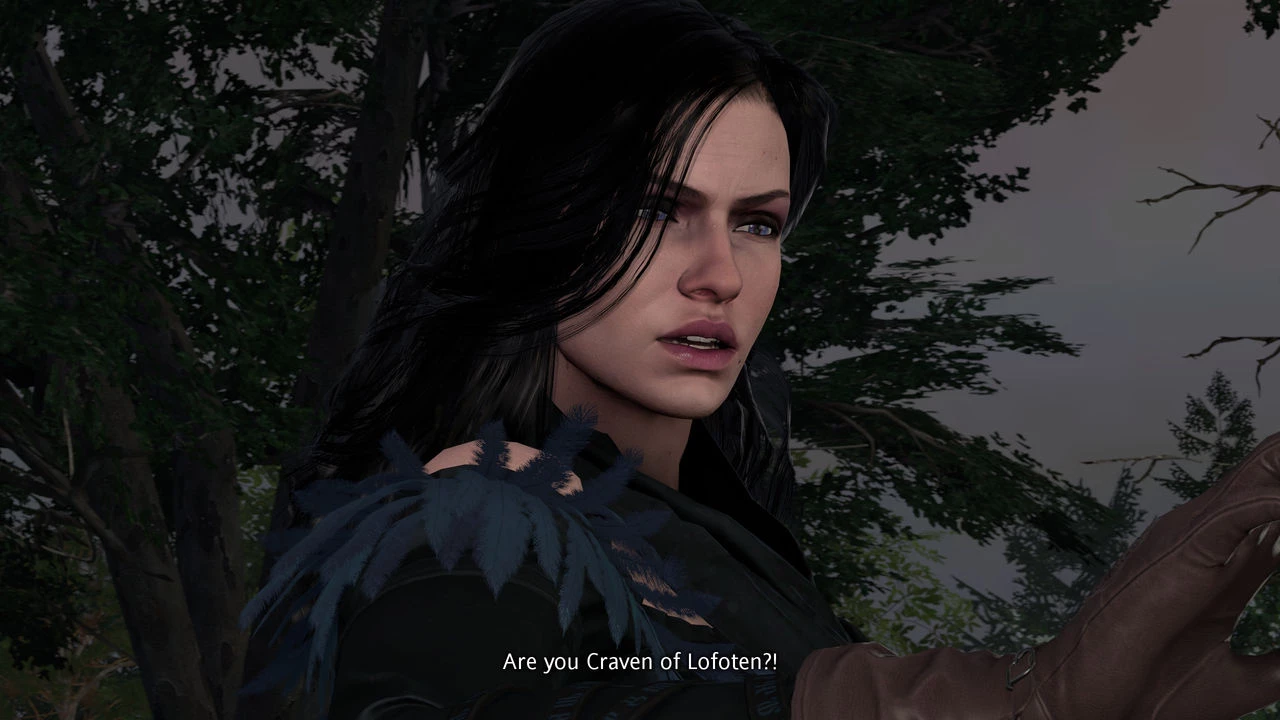 Witcher stories part 2 porn comic picture 6