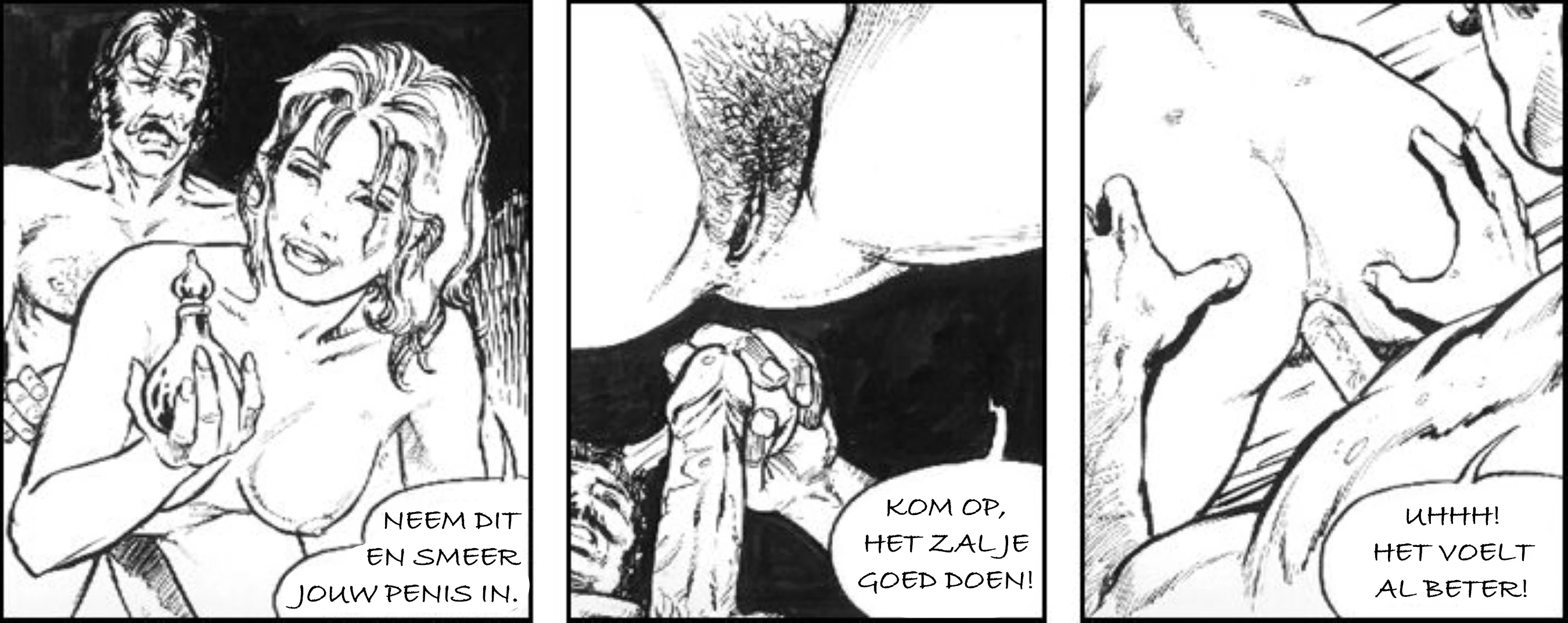 9 of 10 [NL] porn comic picture 10