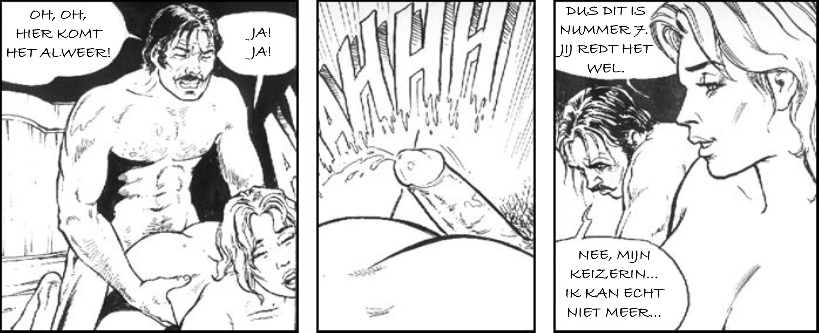 9 of 10 [NL] porn comic picture 11