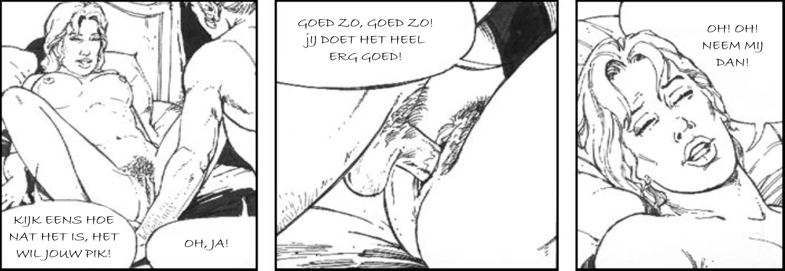 9 of 10 [NL] porn comic picture 18