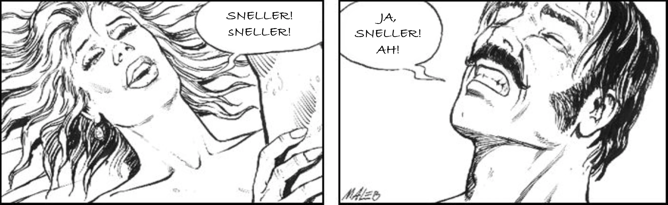 9 of 10 [NL] porn comic picture 2