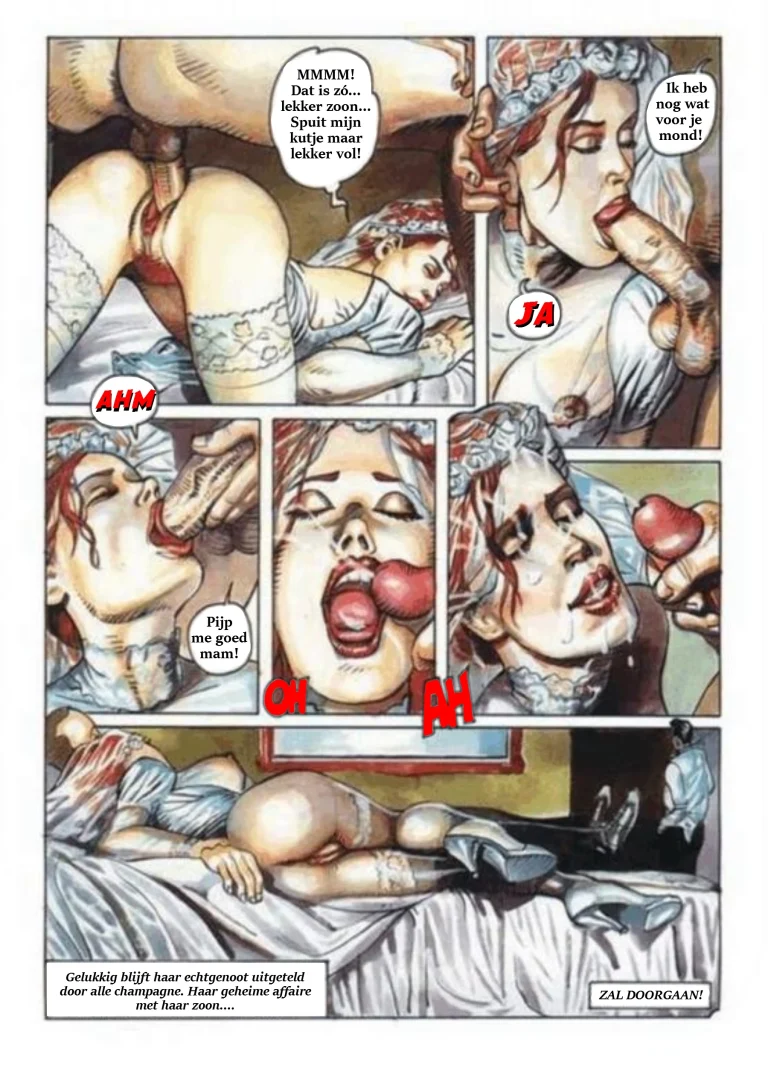 A Secret Affair [NL] porn comic picture 10