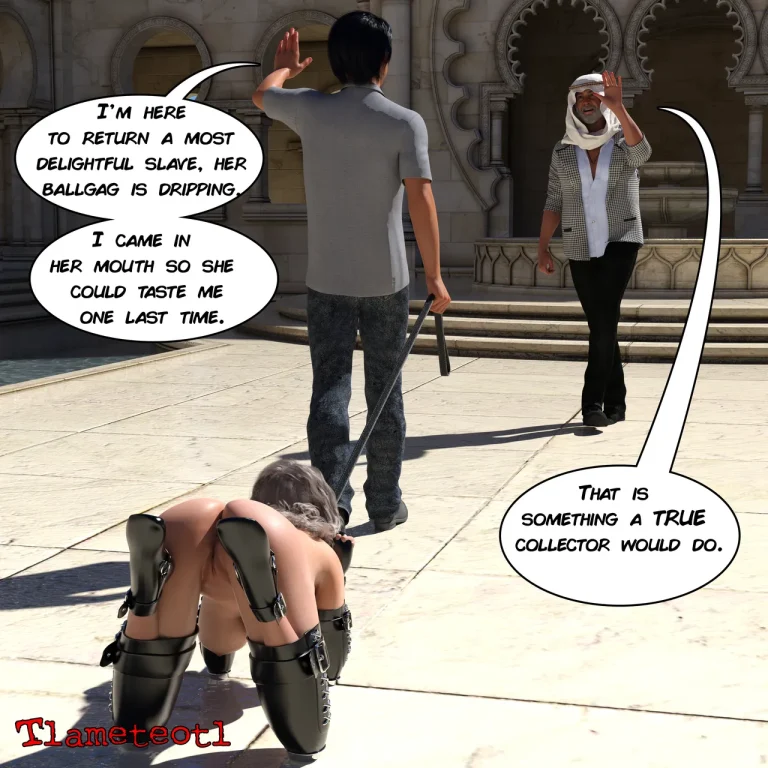 Begginers Collection porn comic picture 59