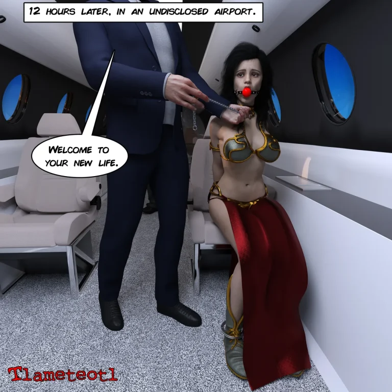 Begginers Collection porn comic picture 97