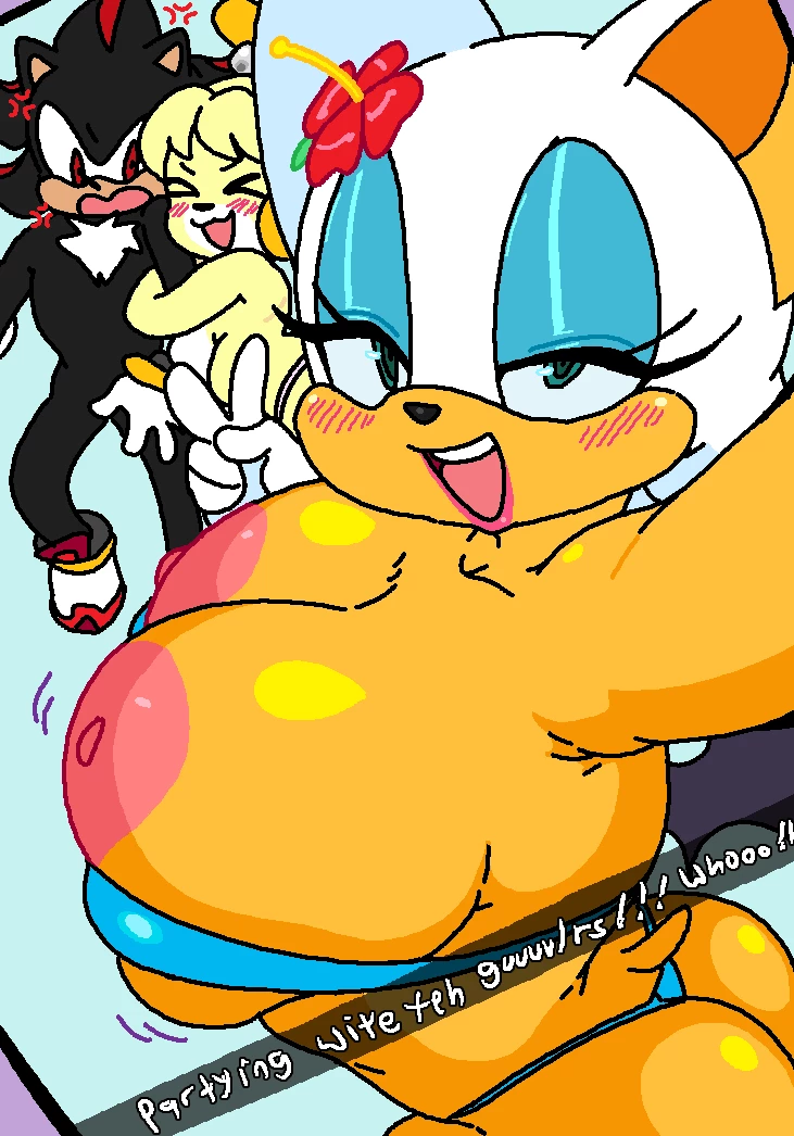 Rouge & Isabelle at the Beach (With Tikal & Shadow) porn comic picture 12