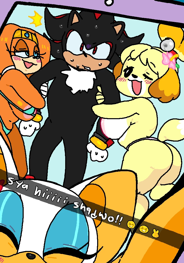 Rouge & Isabelle at the Beach (With Tikal & Shadow) porn comic picture 13