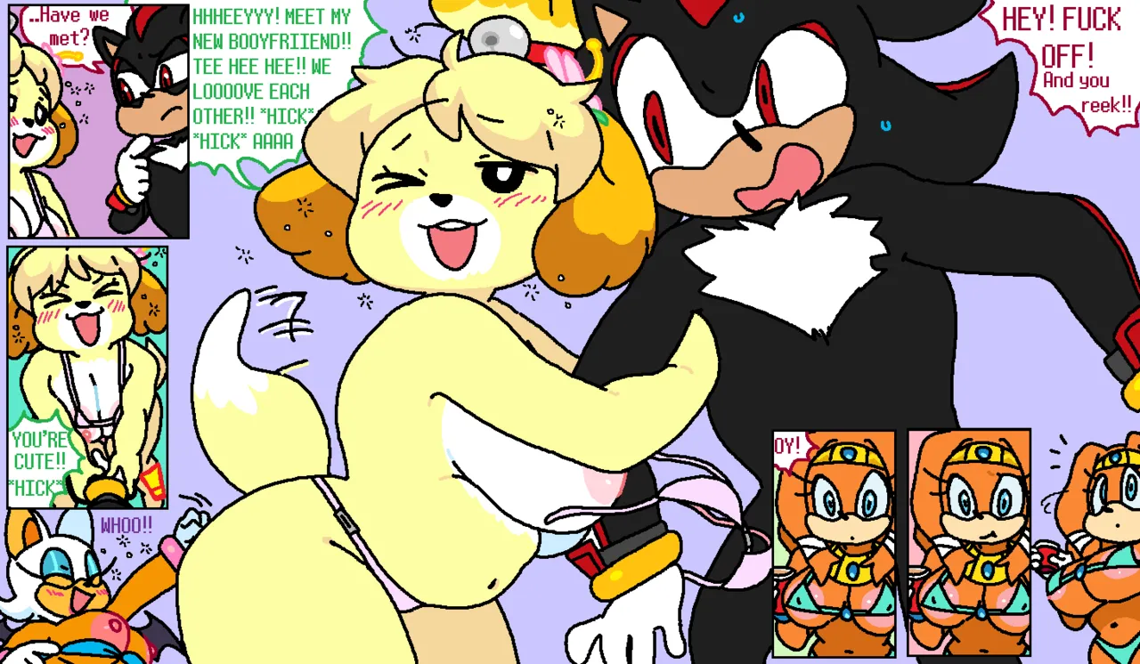 Rouge & Isabelle at the Beach (With Tikal & Shadow) porn comic picture 3