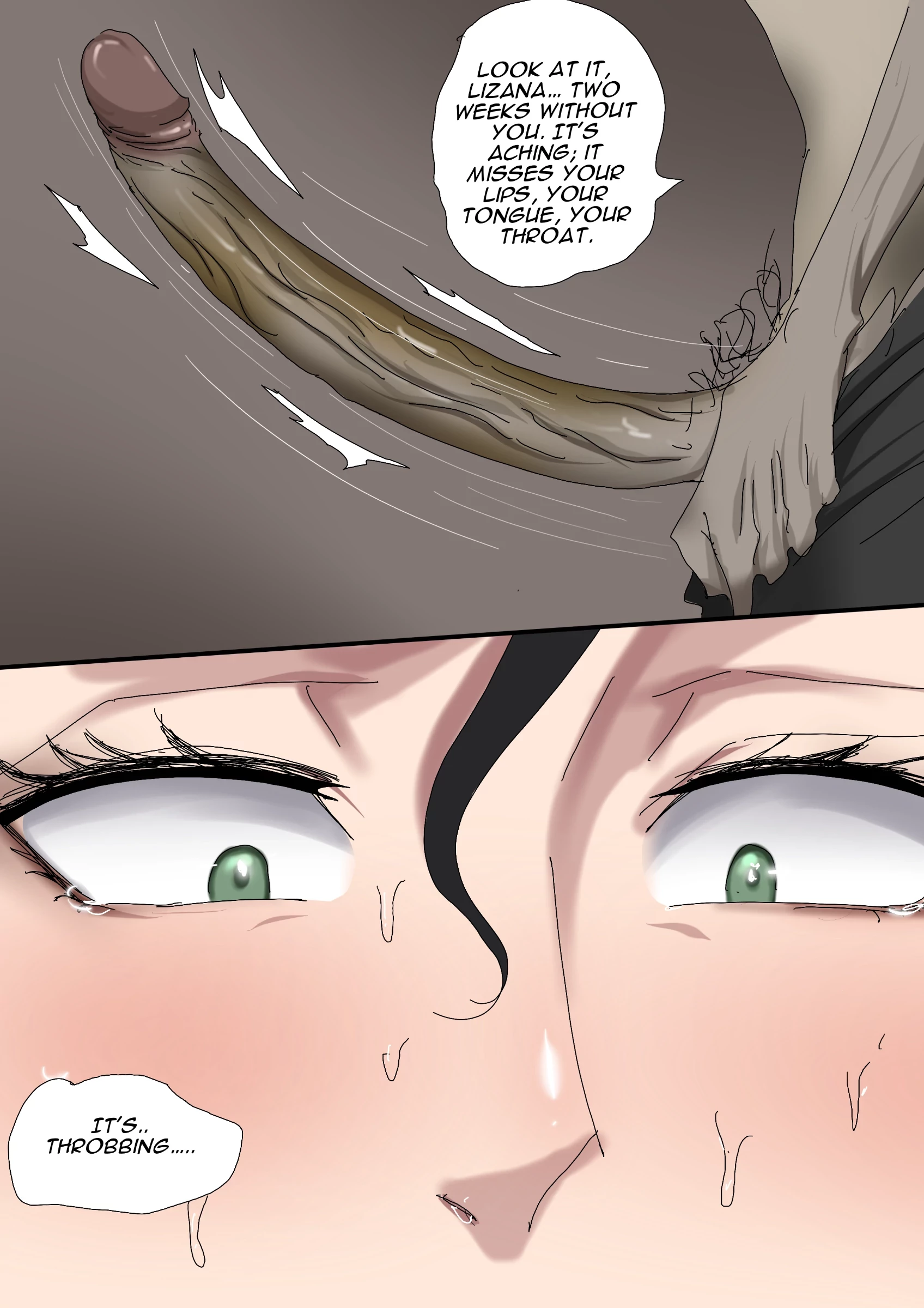 Sinful Lust - Lizana And The Homeless 2 porn comic picture 14
