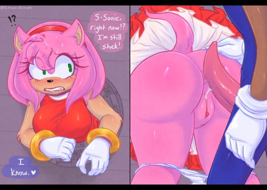 Sonic Shadow and Amy porn comic picture 3