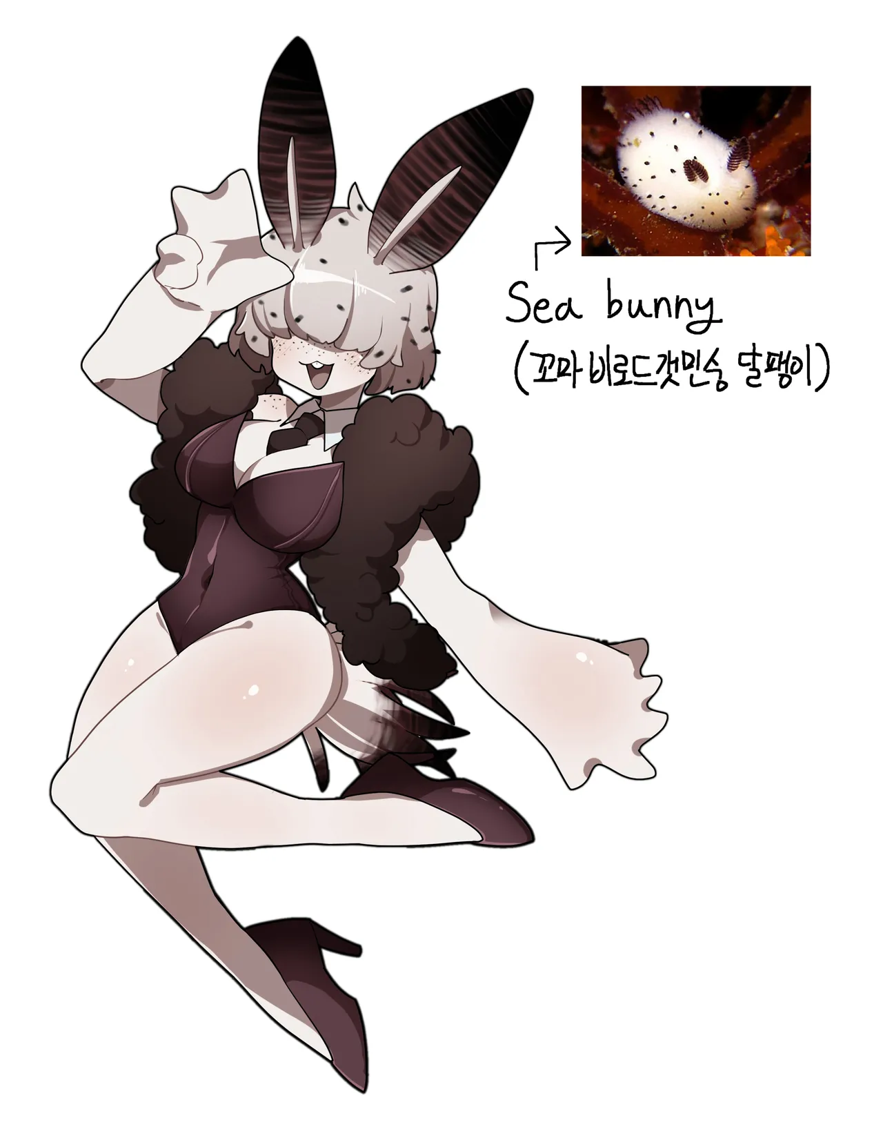 Sophia The Seabunny porn comic picture 42
