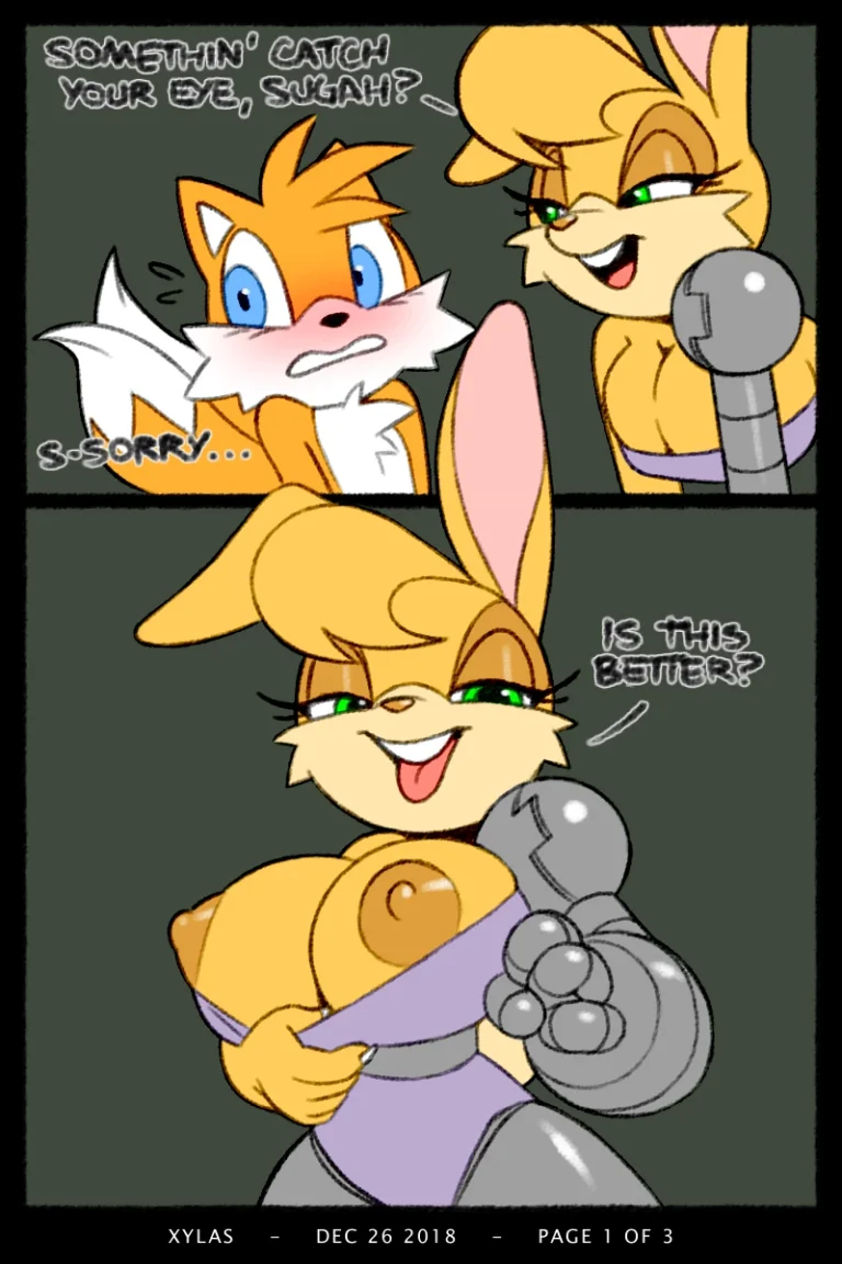 Tails x Bunnie porn comic picture 1
