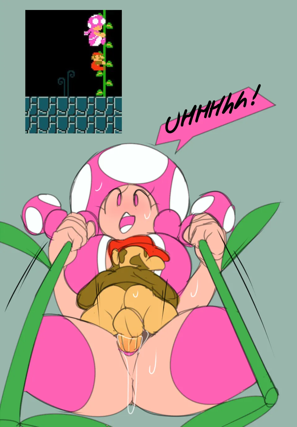 Toadette Sets porn comic picture 14