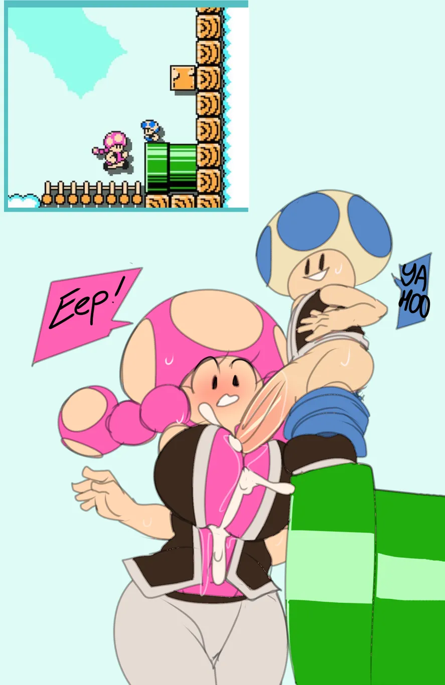 Toadette Sets porn comic picture 8