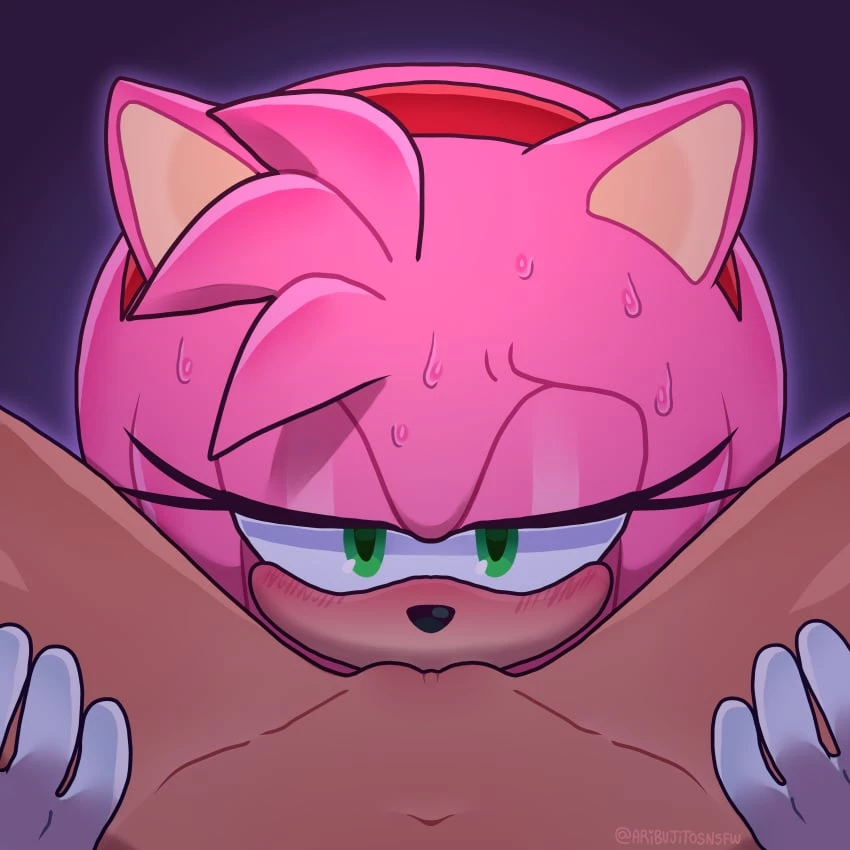 Amy and Rouge porn comic picture 1