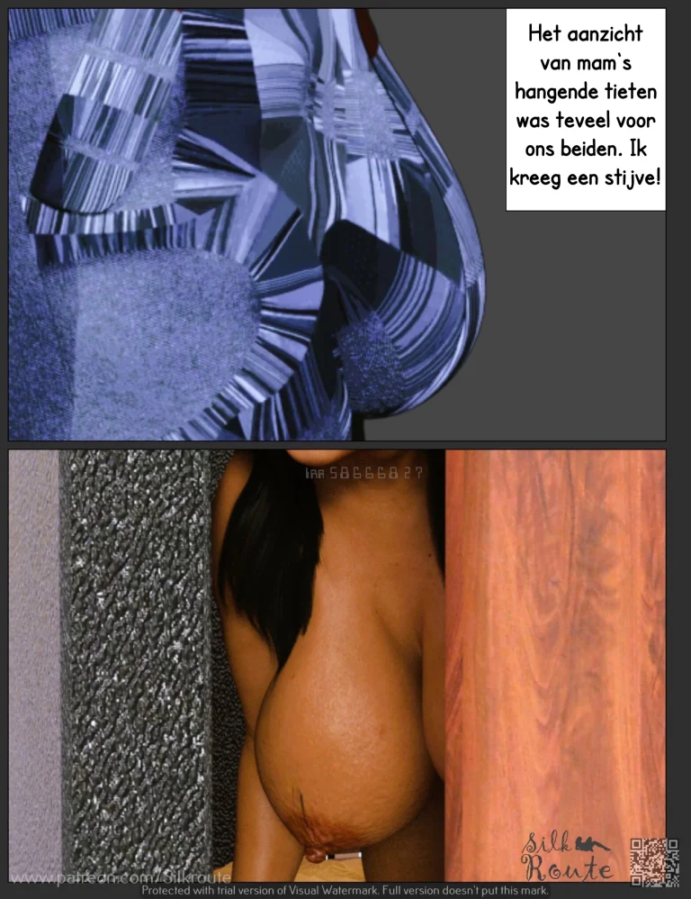 Rani Aunty 04-The V deel 2 [NL] porn comic picture 27