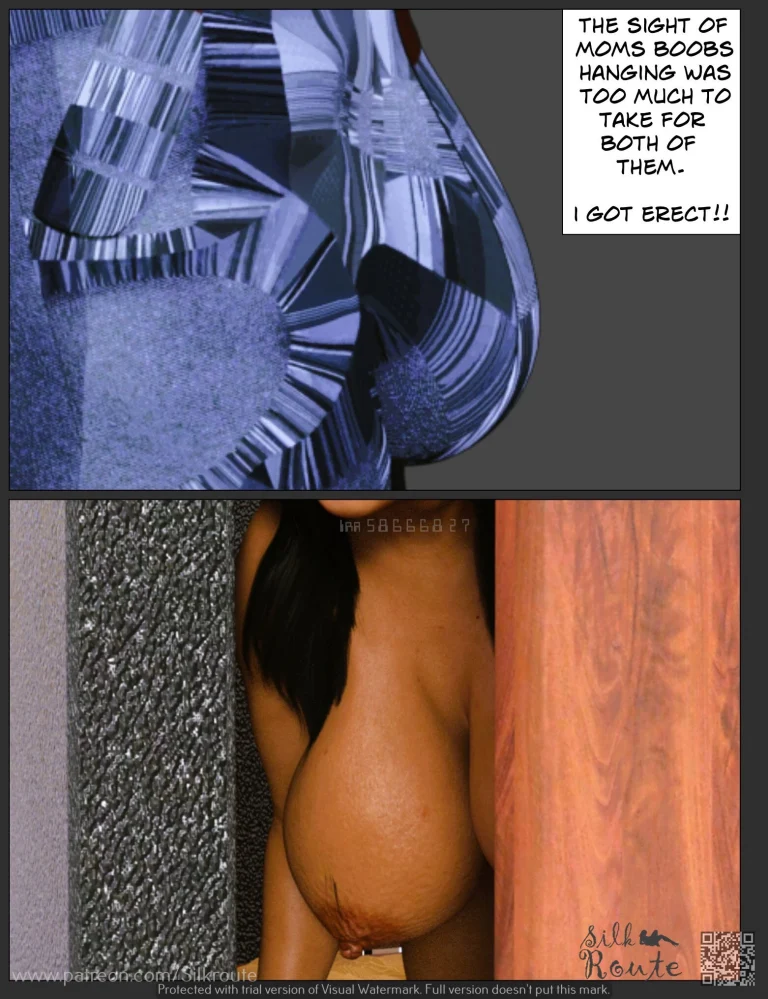 Rani Aunty 04-The V part 2 [ENG] porn comic picture 27