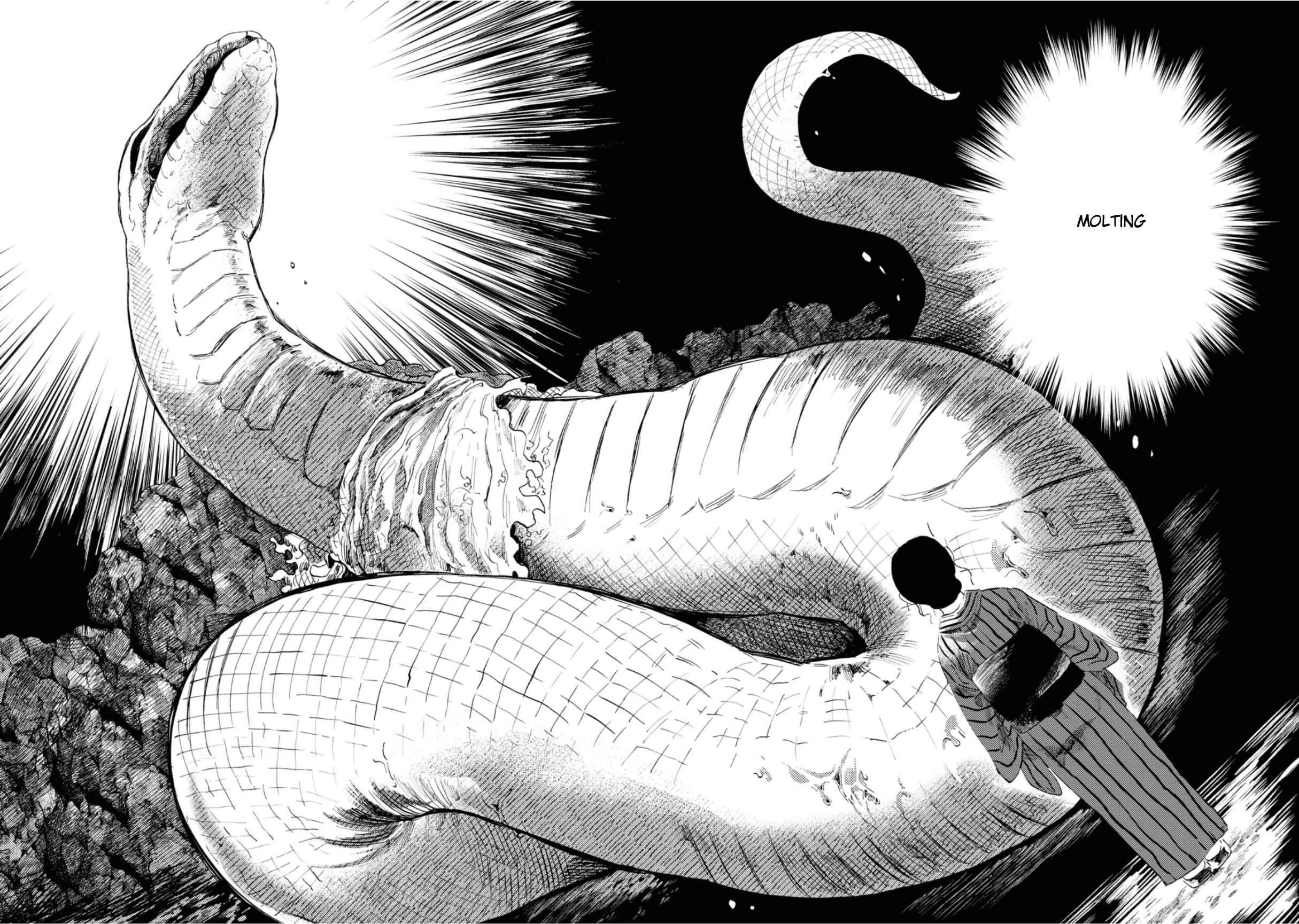 大蛇に嫁いだ娘1 (The Great Snake's Bride) Volume 1 porn comic picture 47