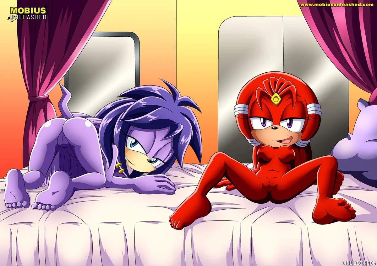 Echidna tail porn comic picture 22