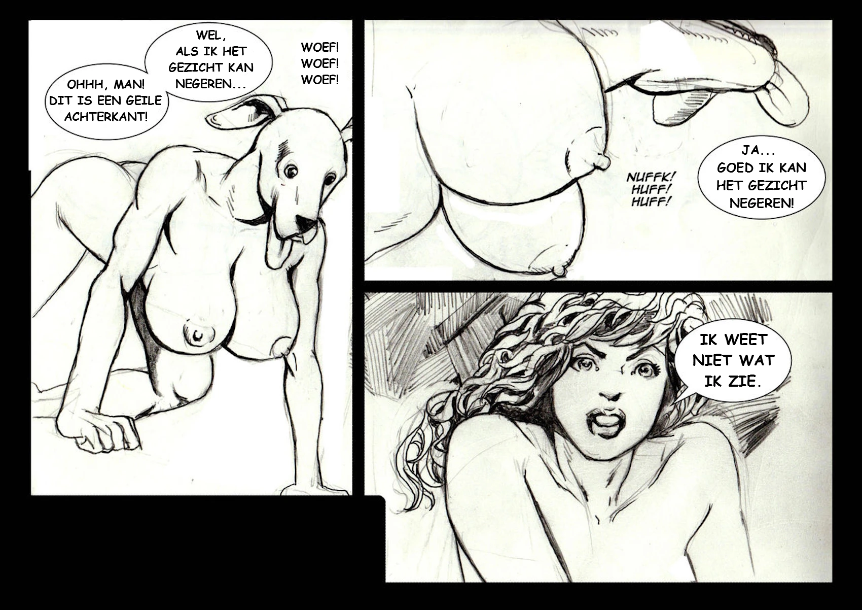 Invisible Sex Maniac - Bride of ISM! [NL] porn comic picture 14
