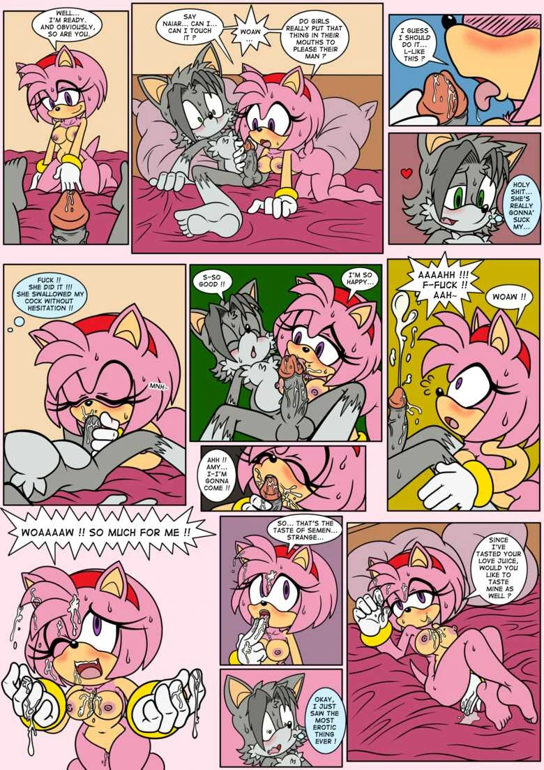 Naiar’s Misadventures 4 – Amy Rose porn comic picture 6