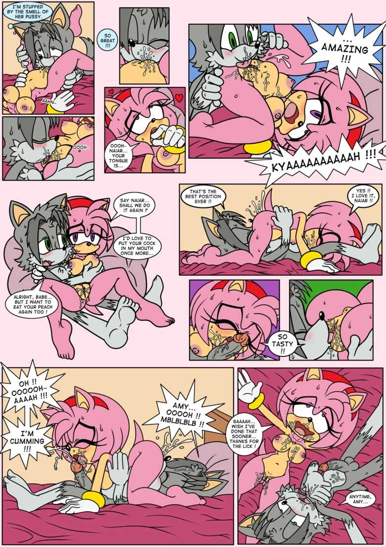 Naiar’s Misadventures 4 – Amy Rose porn comic picture 7