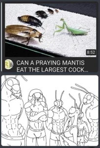 Praying Mantis Orgy porn comic picture 1