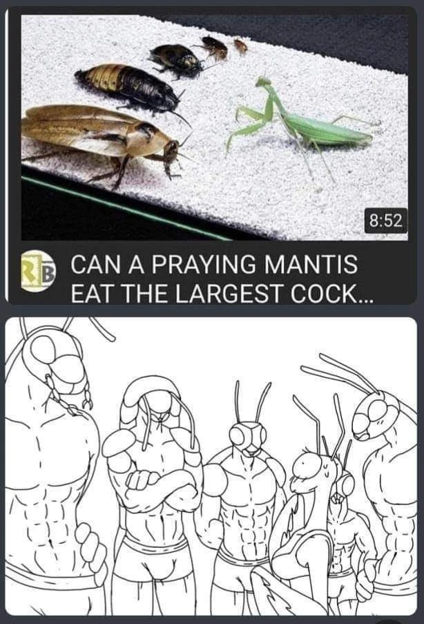 Praying Mantis Orgy porn comic picture 1