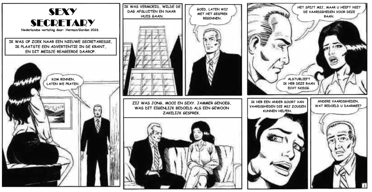 Sexy Secretary [NL] porn comic picture 1