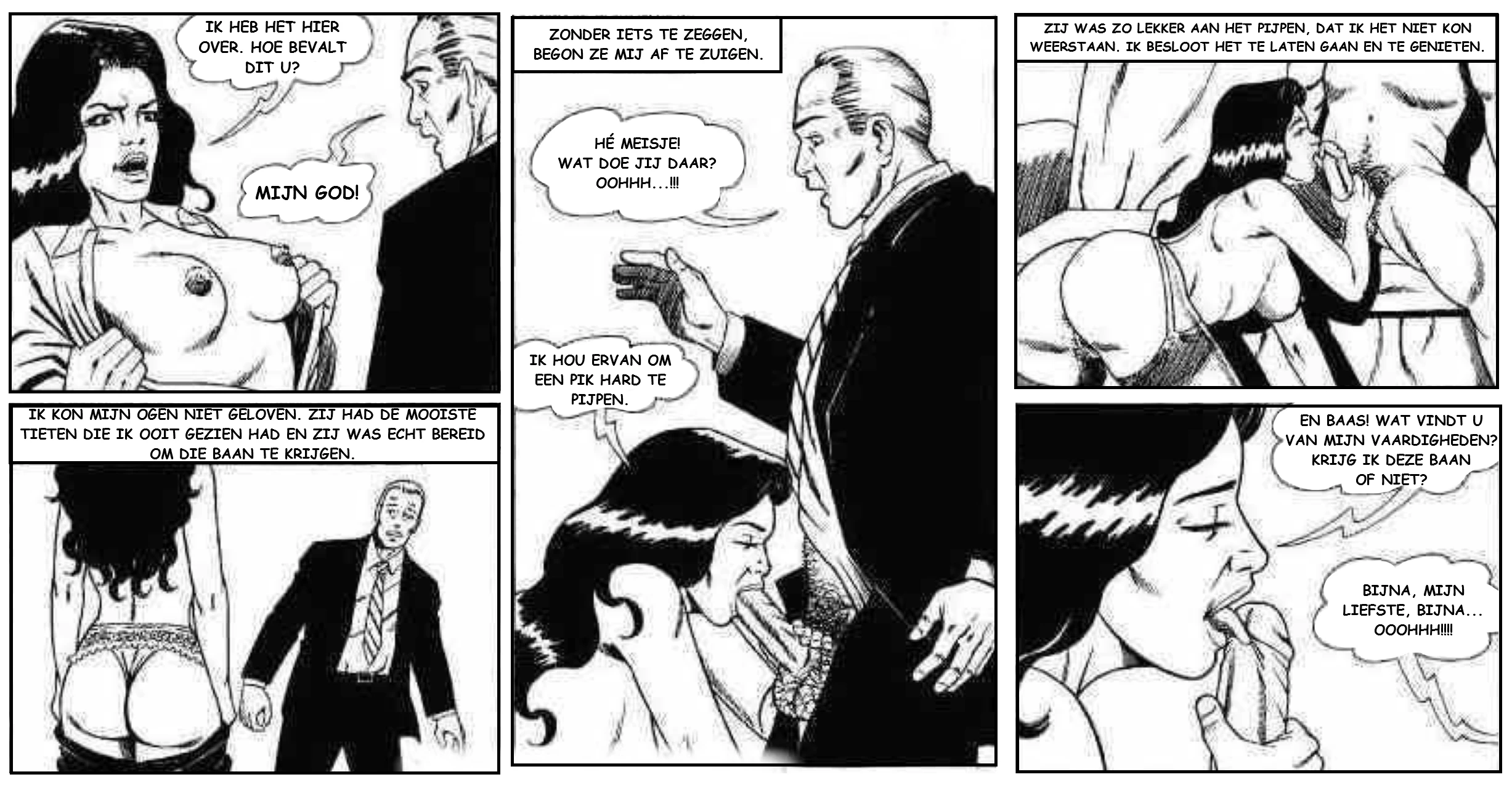 Sexy Secretary [NL] porn comic picture 2