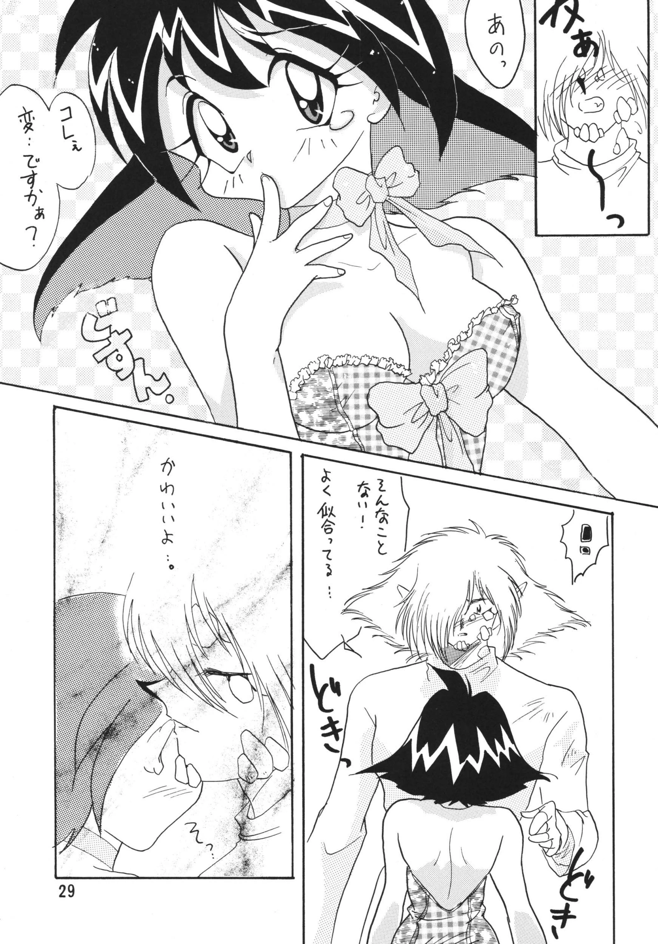 SLAYERS ADULT 4 porn comic picture 28