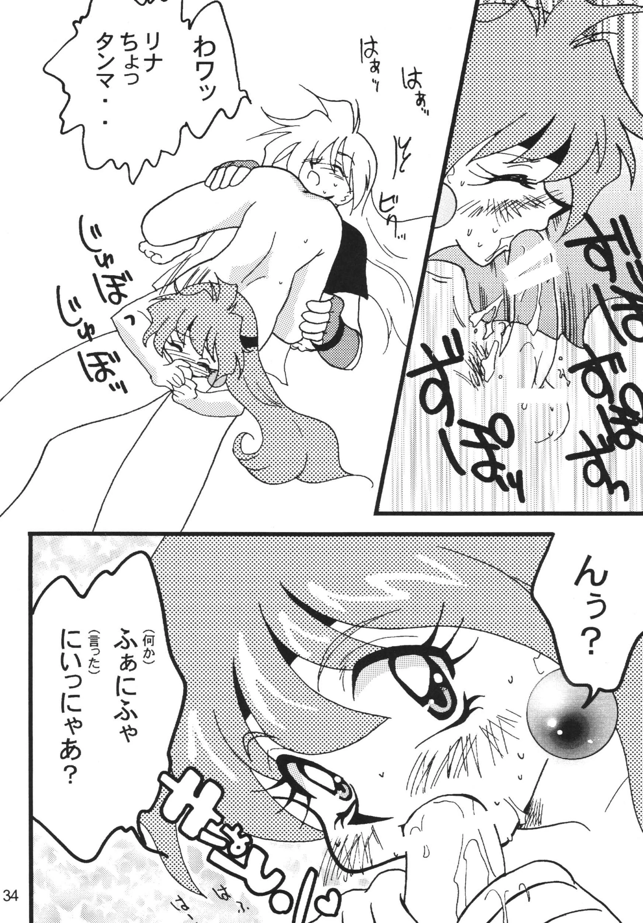 SLAYERS ADULT 9 porn comic picture 33