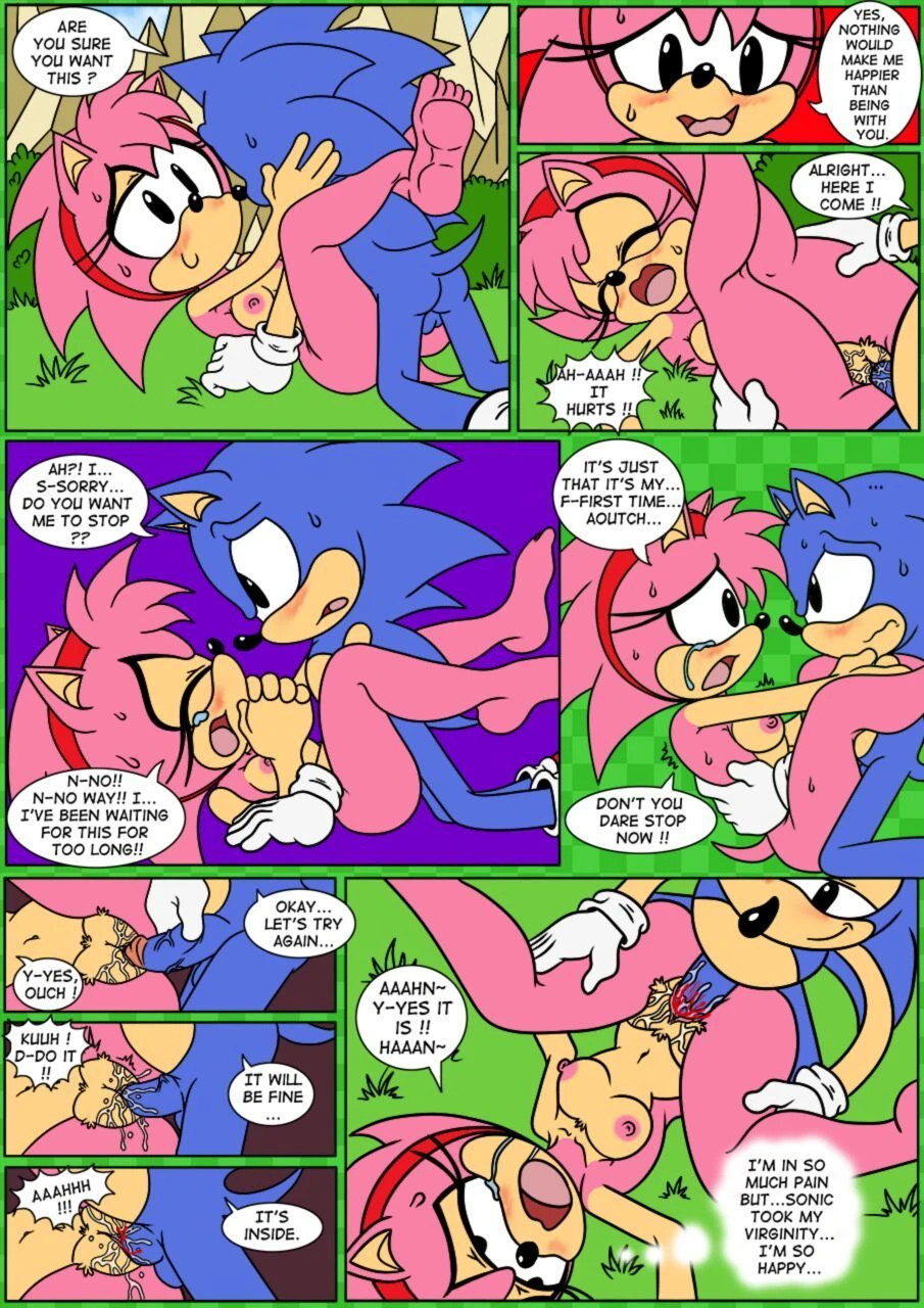 Sonix CD porn comic picture 11