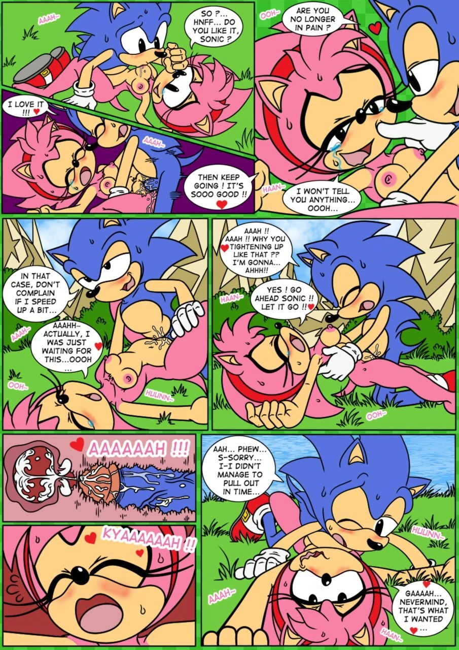 Sonix CD porn comic picture 12