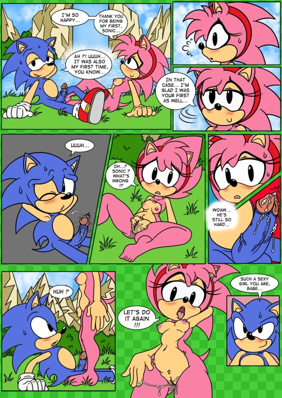 Sonix CD porn comic picture 13