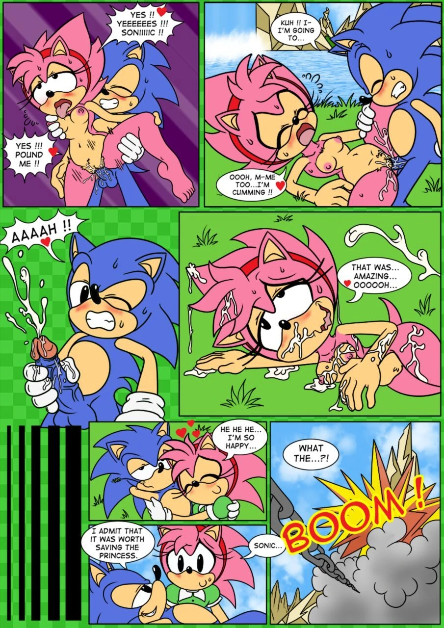 Sonix CD porn comic picture 15