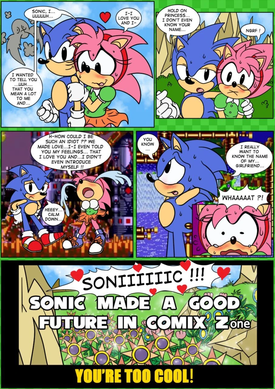Sonix CD porn comic picture 17