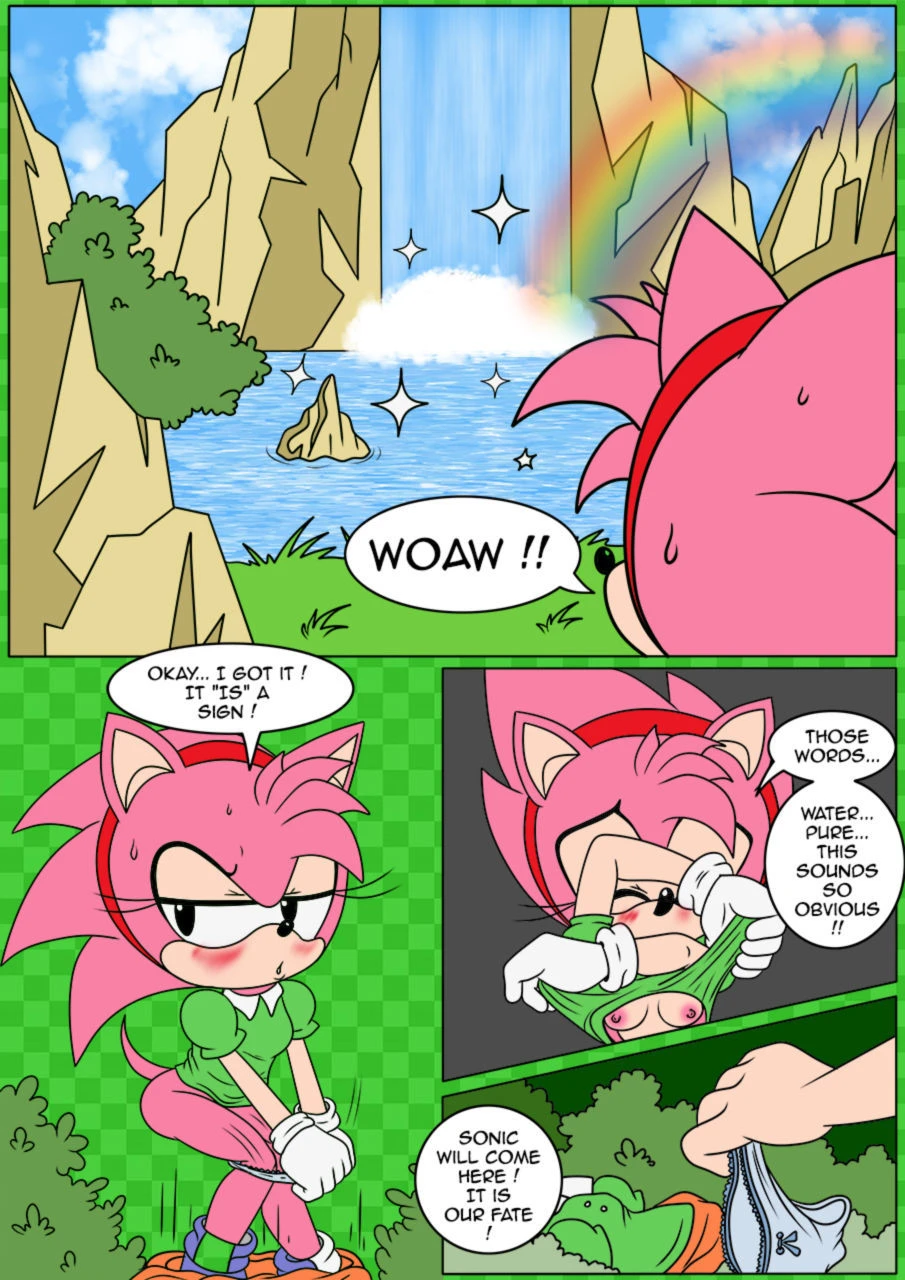 Sonix CD porn comic picture 5