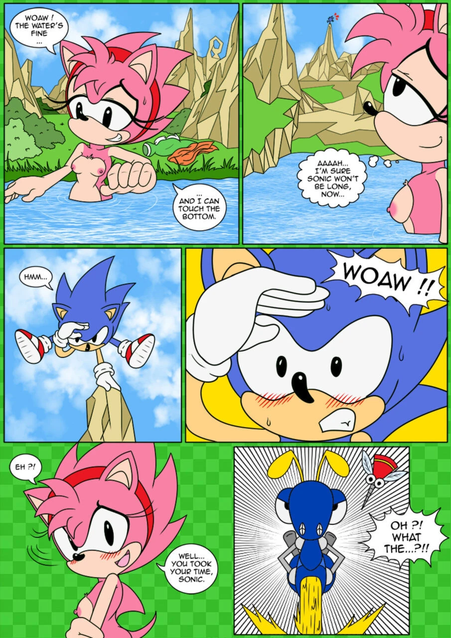 Sonix CD porn comic picture 6
