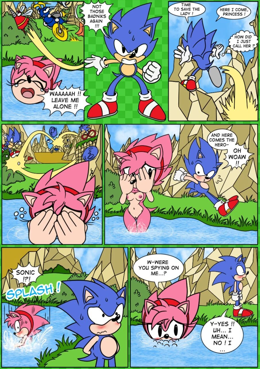 Sonix CD porn comic picture 7