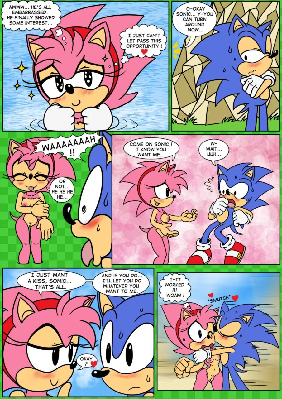 Sonix CD porn comic picture 8