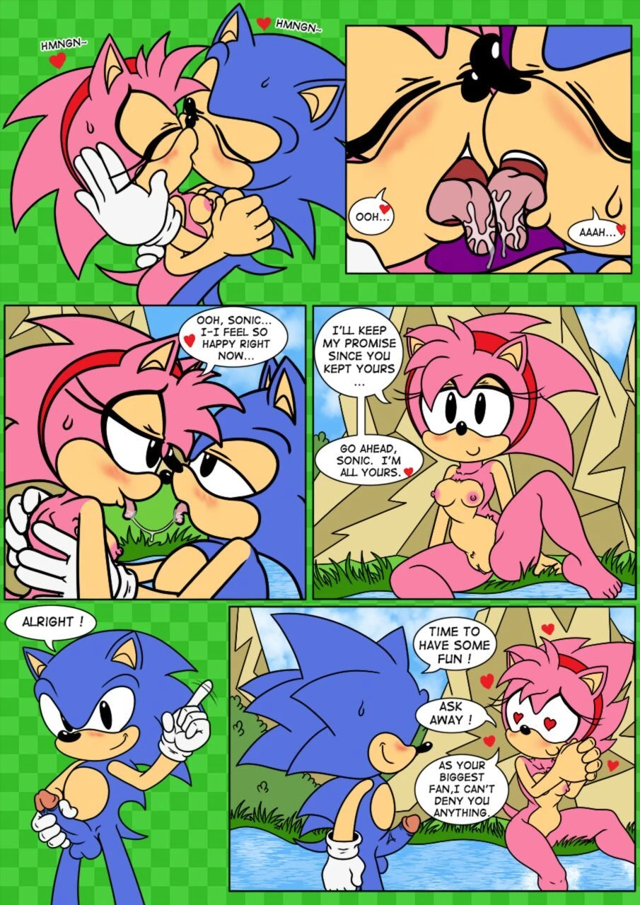 Sonix CD porn comic picture 9