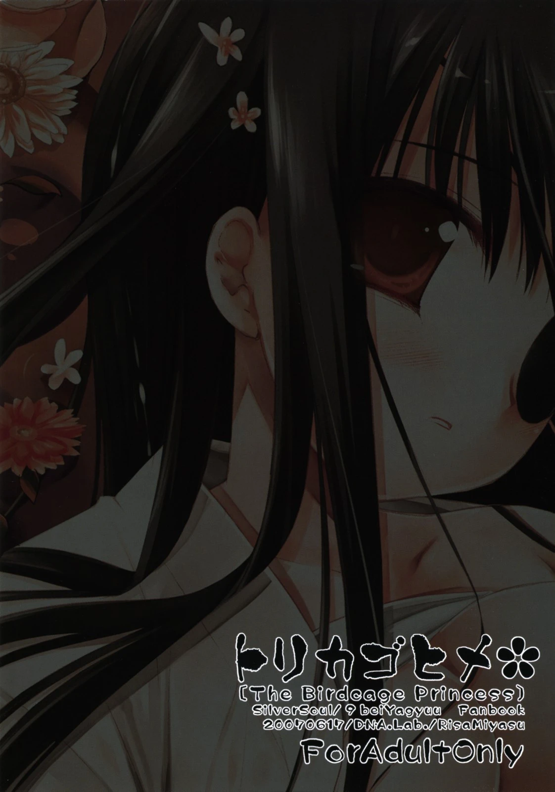 Torikagohime The Birdcage Princess porn comic picture 38