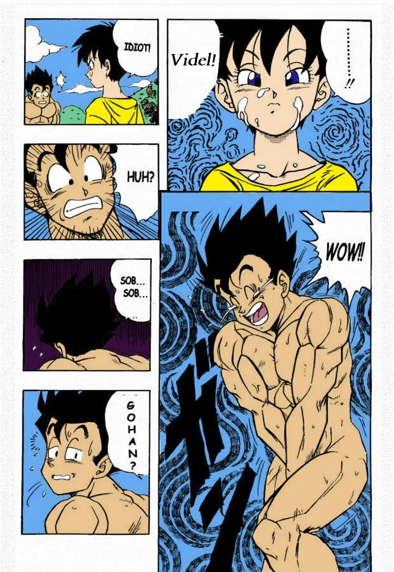 Dragon Ball H [Gohan X Videl (Colored)] porn comic picture 14