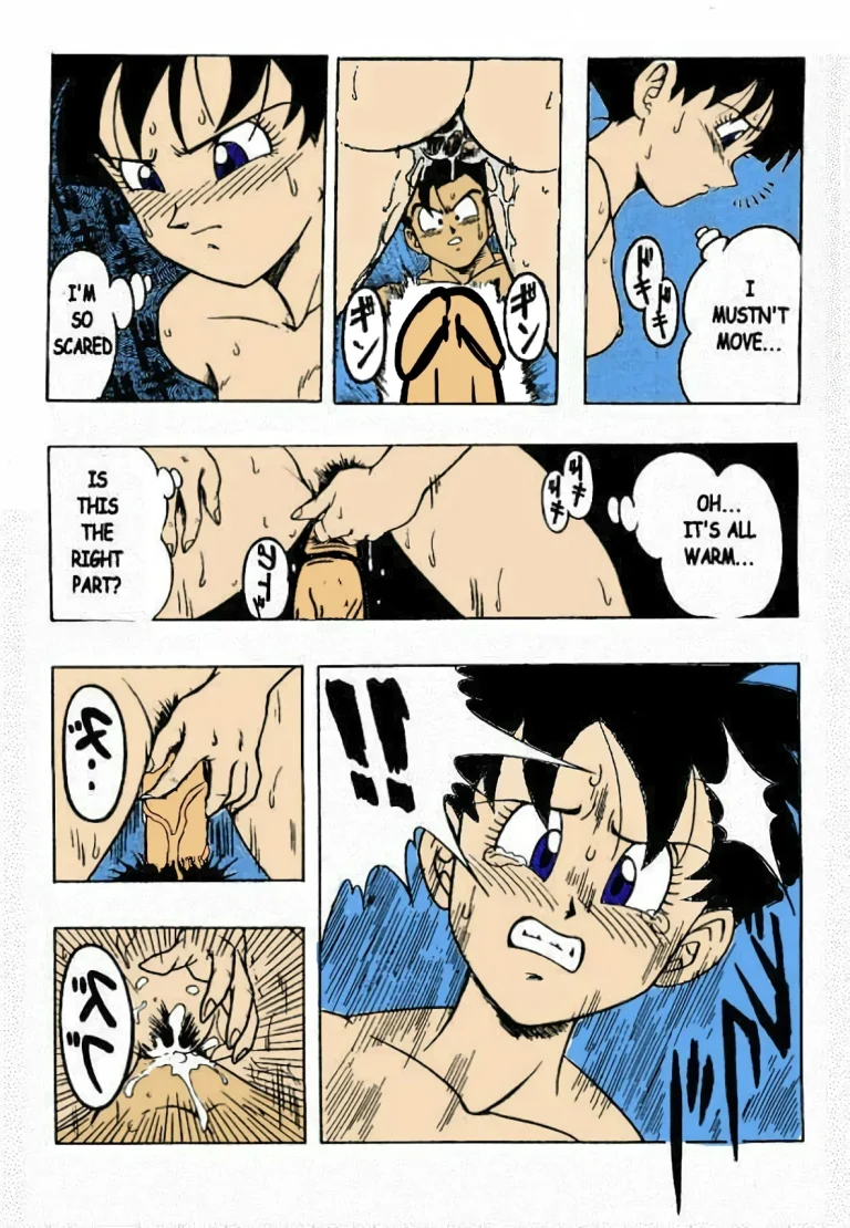Dragon Ball H [Gohan X Videl (Colored)] porn comic picture 17