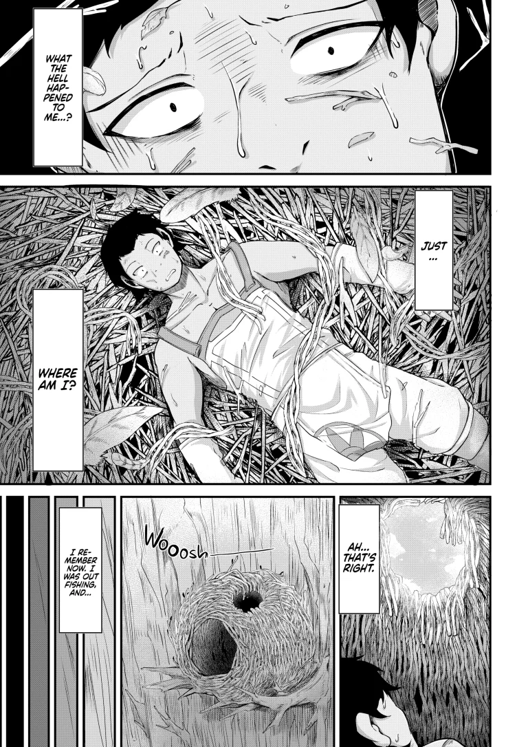 Fisherman and Harpy Girl porn comic picture 1